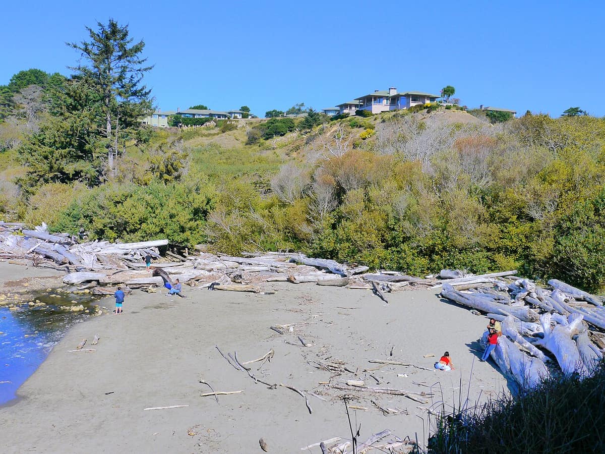 clear sunny day at Harris Beach State Park near Brookings