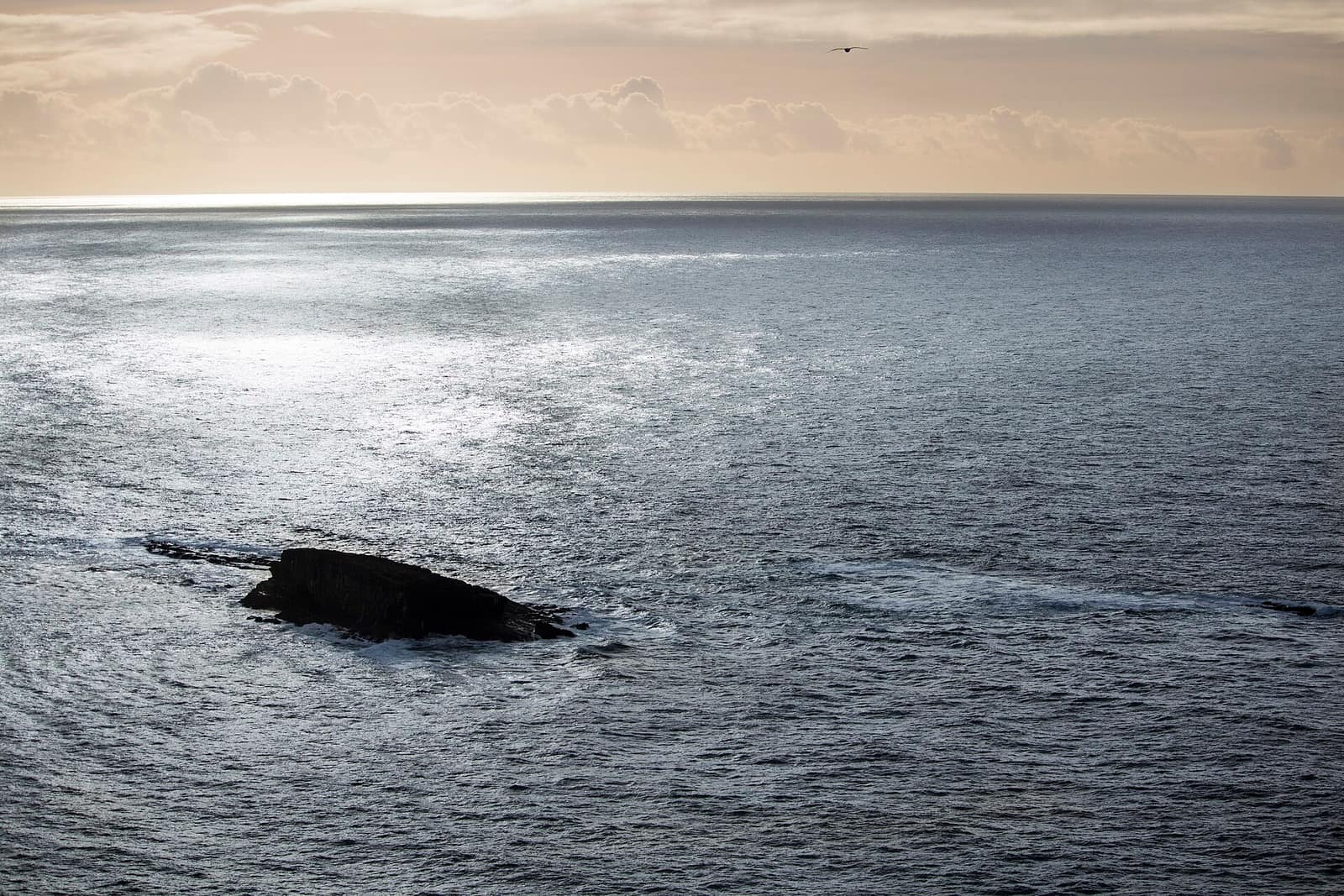 Sunlit Pacific Ocean at dusk with a dark rock offshore and a single bird in the sky, seen from Cape Foulweather