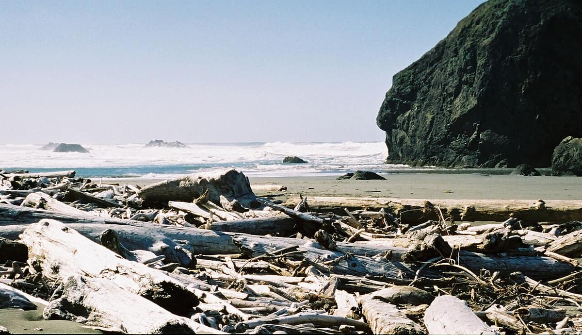 driftwood piled on the beach below a dark headland at Pistol River State Park