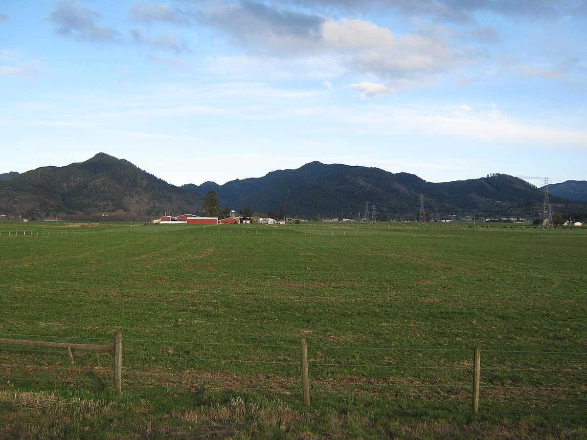 Green farm fields in the Tillamook valley with a farmstead and the Coast Range behind