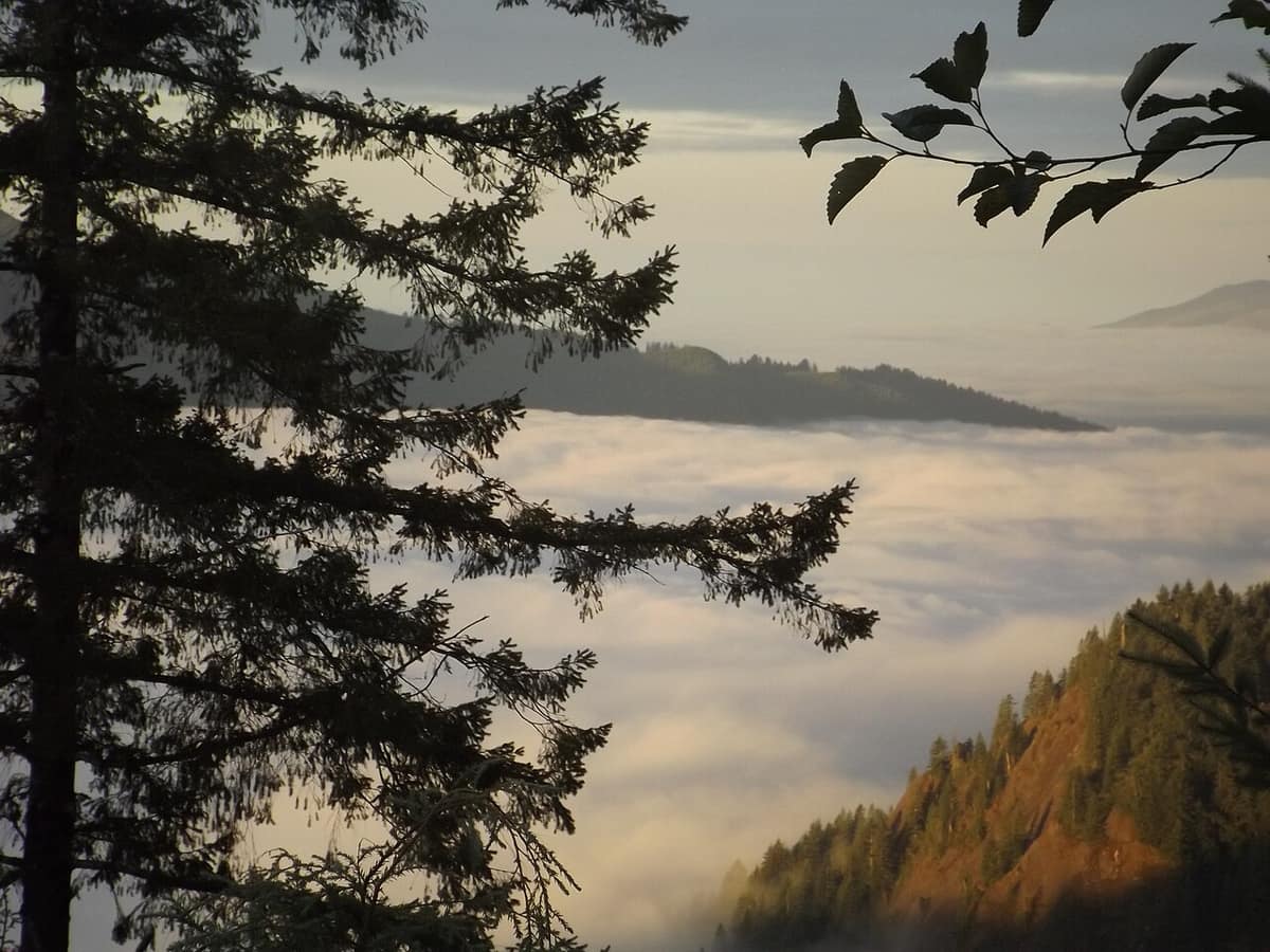Fog and low cloud over forested ridges and valleys in Tillamook County
